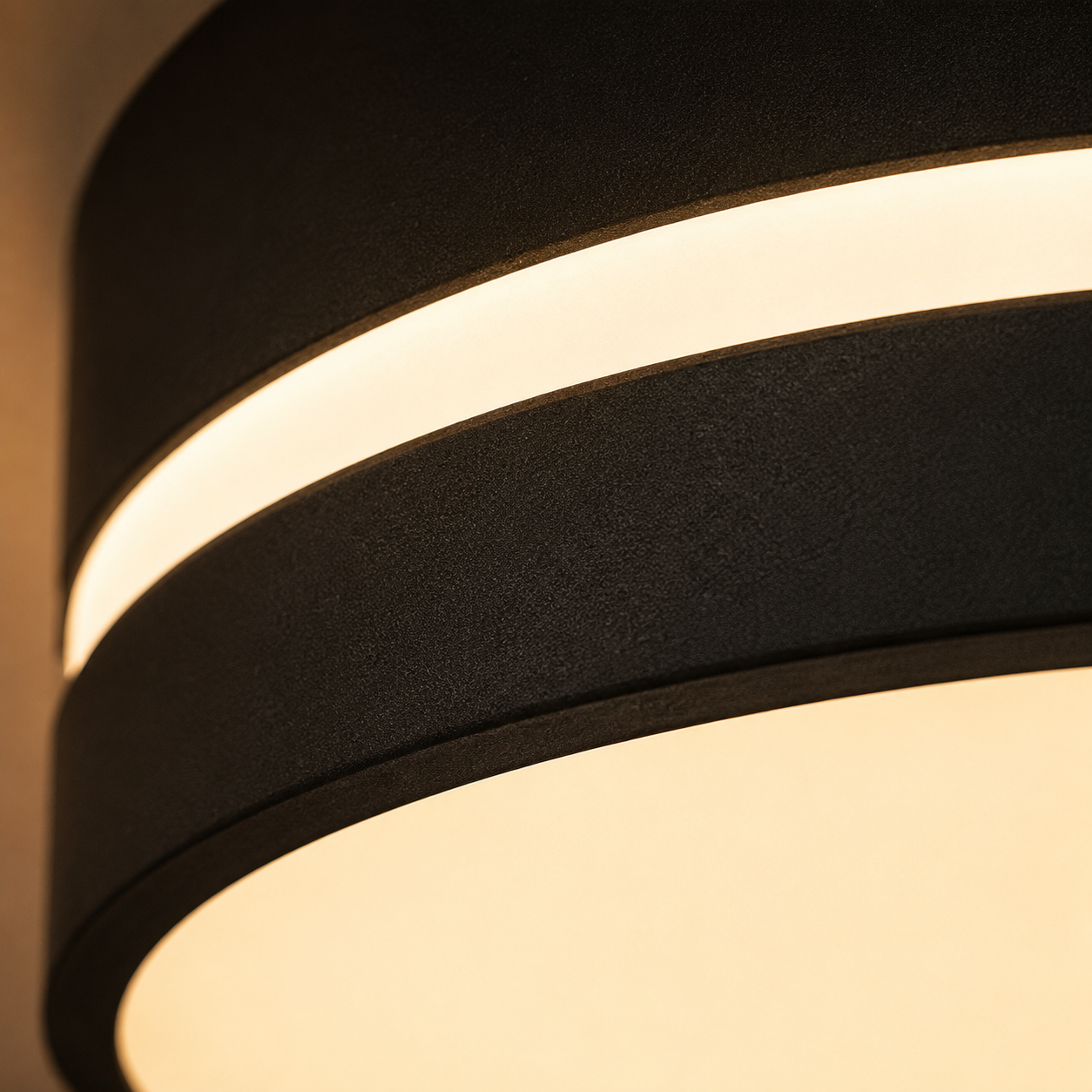 Round Ceiling Light Black White LED